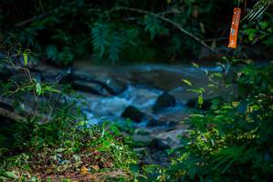 BIB: 
                            <button type="button" onclick="openModal(19306153)" class="btn btn-primary btn-sm float-right btn-popup" data-toggle="modal" data-target=".modal-high-quality">
                        <i class="fas fa-shopping-cart"></i> Add to Cart
                    </button>
                                            <button type="button" onclick="isThisMe(19306153, true)" class="btn btn-success btn-sm float-right btn-popup btn-isme hidden" data-toggle="tooltip" data-placement="bottom" title="นี่คือรูปของคุณใช่ไหม คลิกที่นี่เพื่อเอาเข้าอัลบั้ม">
                        <i class="fas fa-plus"></i> Add to album
                    </button>
                    <button type="button" onclick="isThisMe(19306153, false)" class="btn btn-warning btn-sm float-right btn-popup btn-isnotme hidden">
                        <i class="fas fa-ban"></i> Remove from album
                    </button>